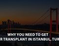 Why You Need to Get a Hair Transplant in Istanbul, Turkey